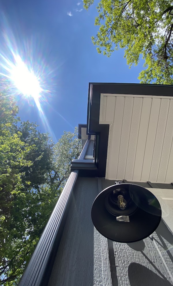 Black seamless gutter under mature trees